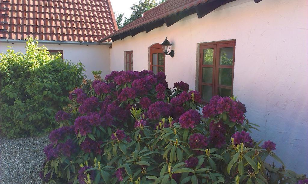Vranum Guesthouse Viborg Exterior photo